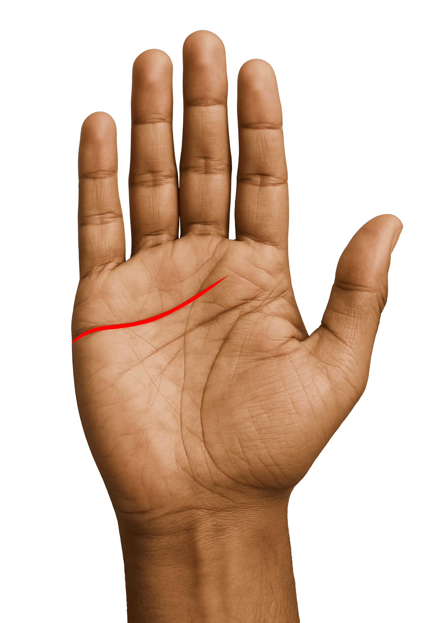 Heart Line Analysis