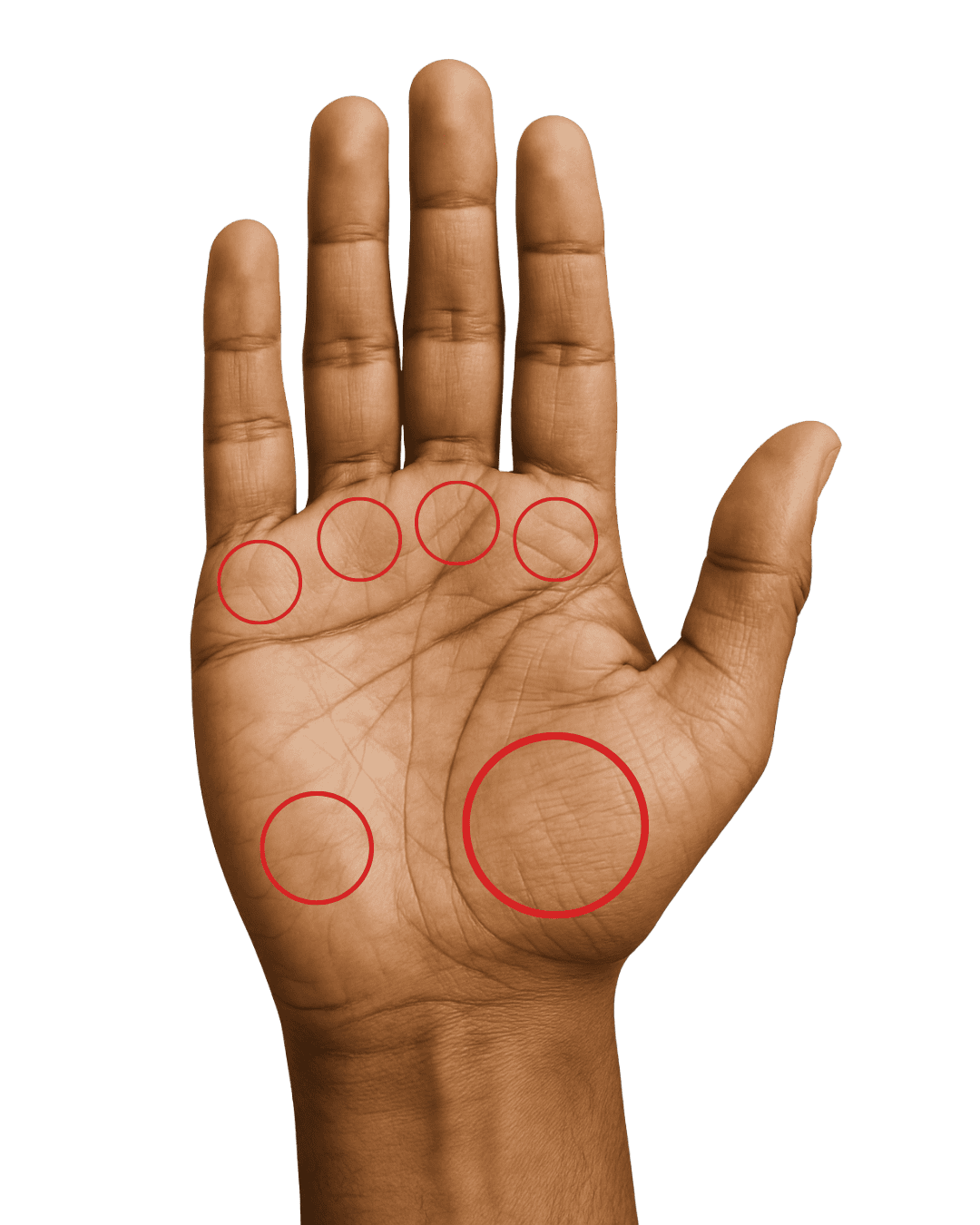 Palm Mounts Analysis