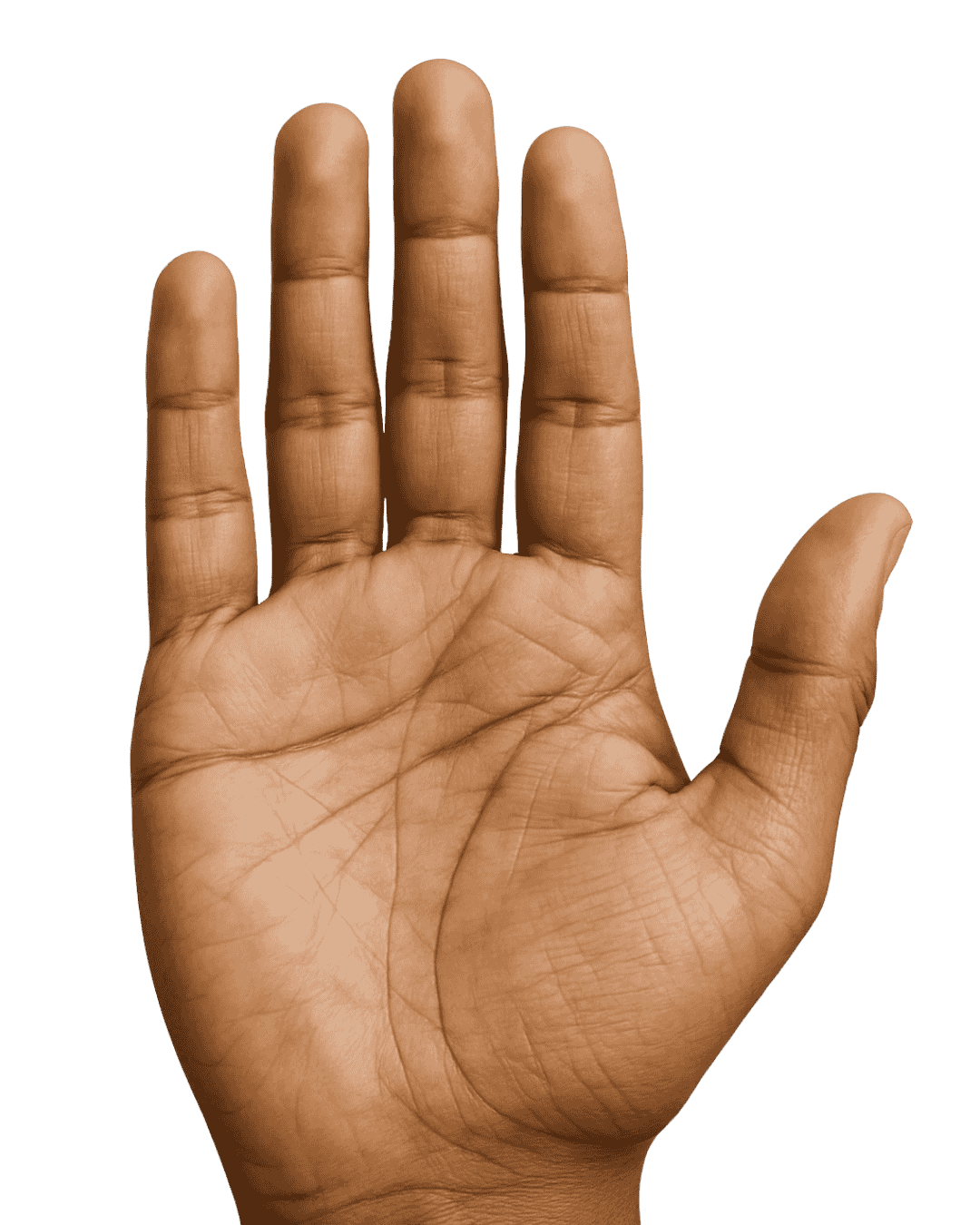 Palm Reading